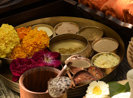 Ayurveda Journey